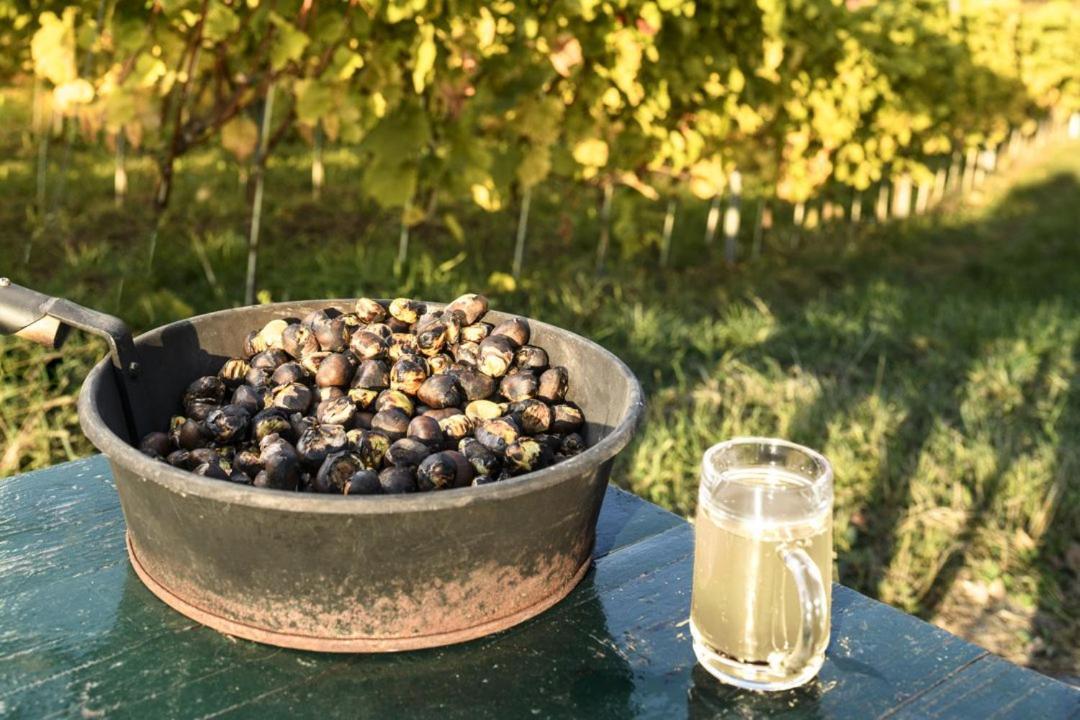Gasthof Wagner Restaurant-Pension Halbenrain المظهر الخارجي الصورة